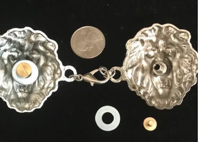 Cloak Clasp - Large Lion Cloak Clasp Silver or Gold