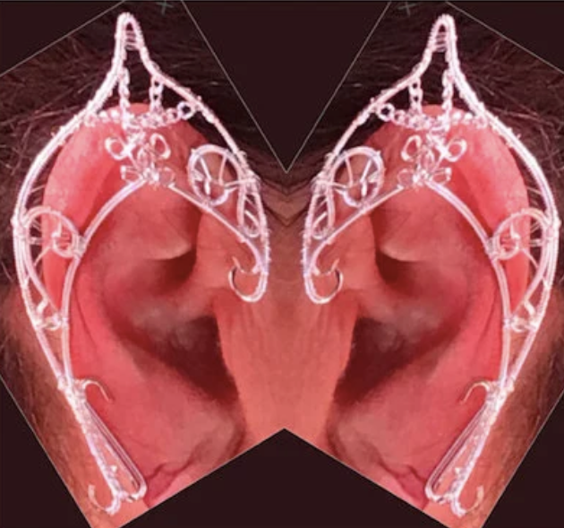 Elf Ears - Silver or Gold